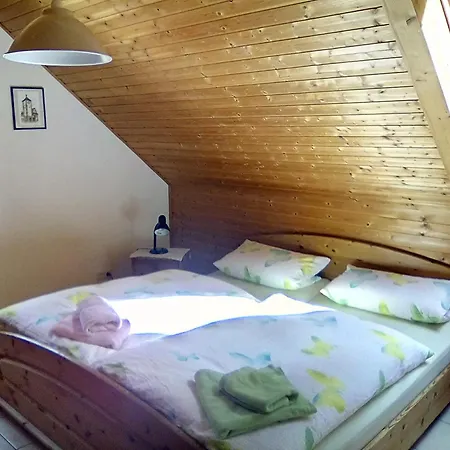 Buck Freiburg im Breisgau