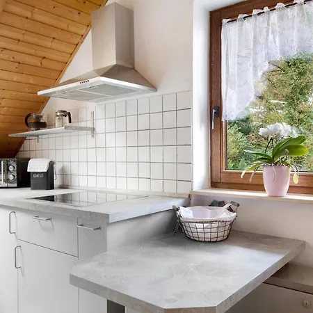 Apartamento Buck Friburgo em Brisgóvia