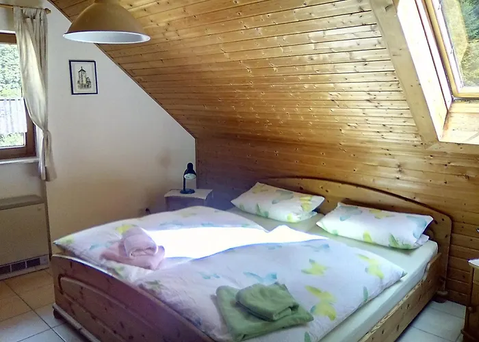 Buck Freiburg im Breisgau